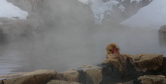    . , Nagano-ken, Yamanouchi-machi