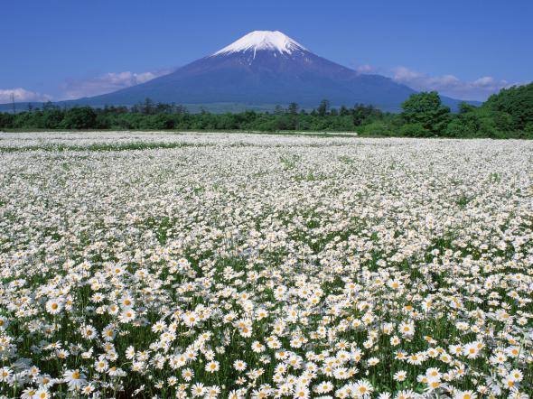  . , , , Mt. Fuji Skyline