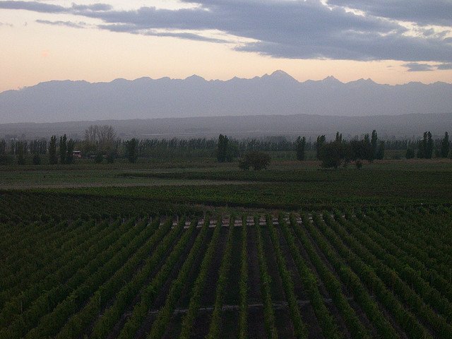   . , Mendoza, Ruta Provincial 82