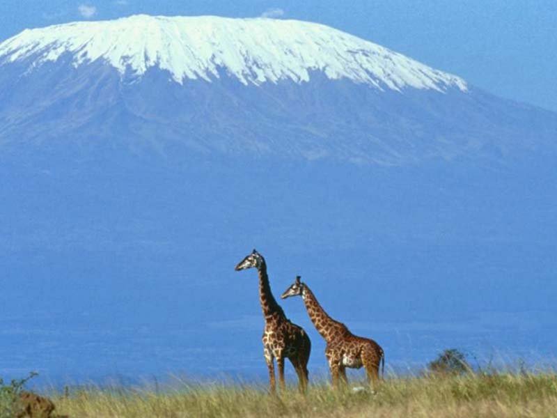  . , Kilimanjaro, Mweka Trail