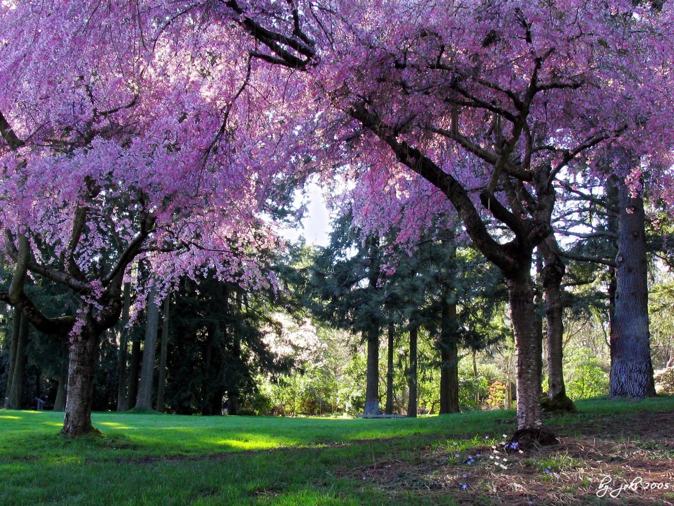     . , British Columbia, Vancouver, West 37th Avenue, 1222