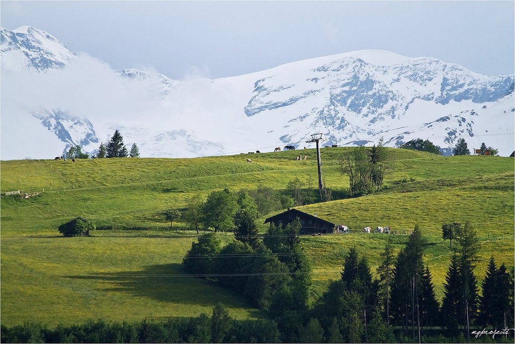   . , Tirol, Glor-Berg, 16