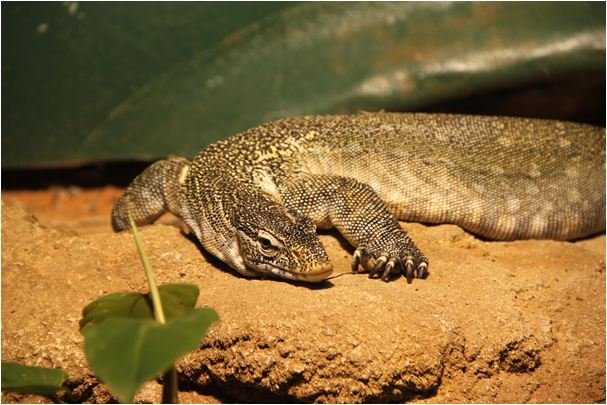   . , Bremen, Bremerhaven, Am Langengrad, 8