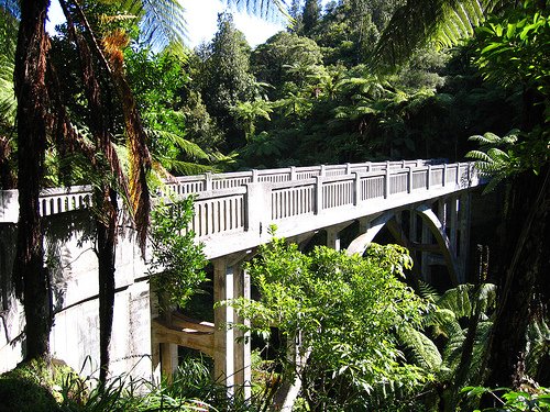Фото Мост в Никуда. Новая Зеландия, Manawatu-Wanganui, Whanganui National Park, Unnamed Road