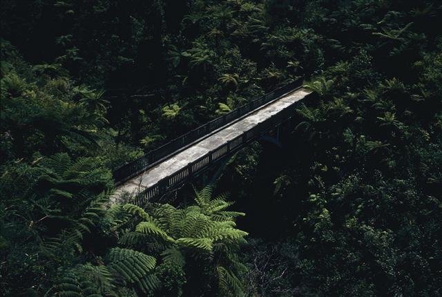 Фото Мост в Никуда. Новая Зеландия, Manawatu-Wanganui, Whanganui National Park, Unnamed Road