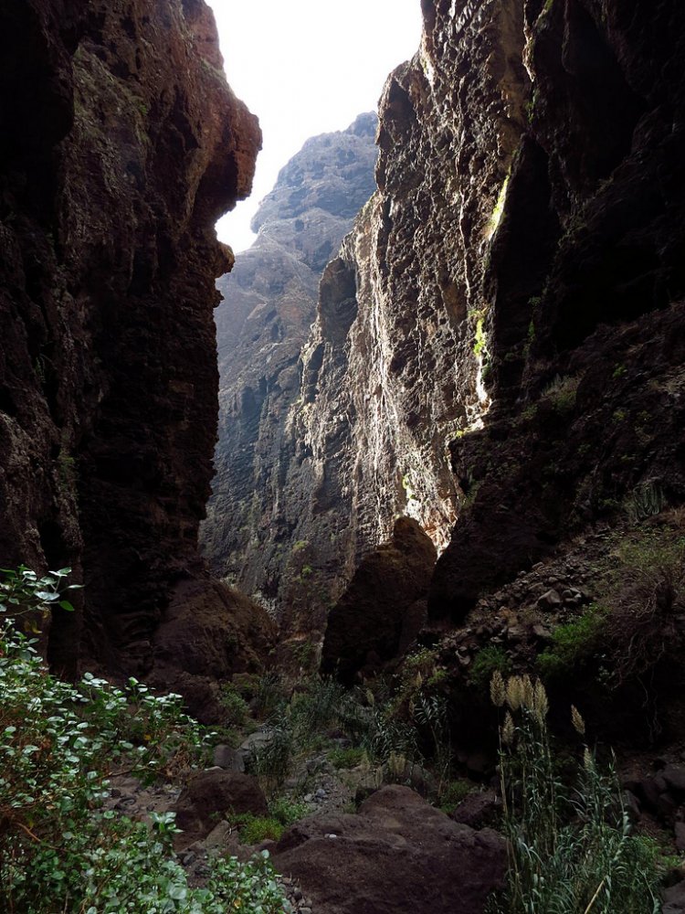   . , Canarias, Masca, Calle Lomo del Medio