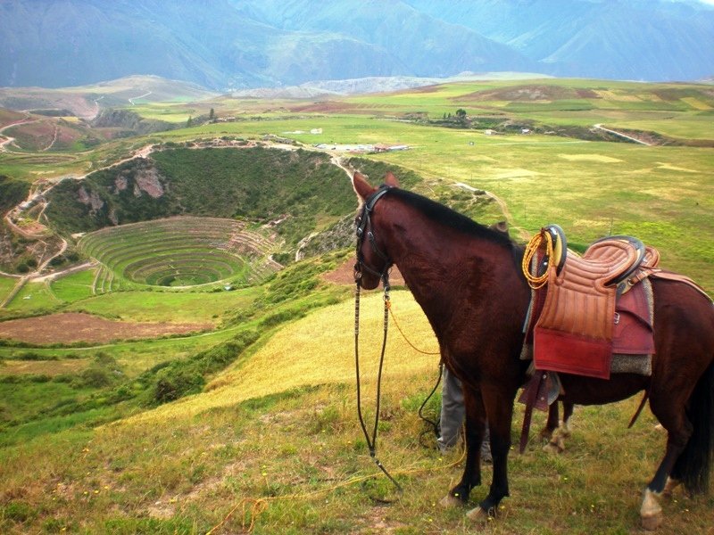   . , Cuzco, Carretera Pachar Ollantaytambo