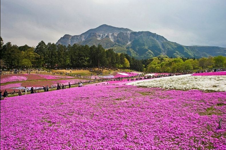   . , Saitama-ken, Chichibu-shi