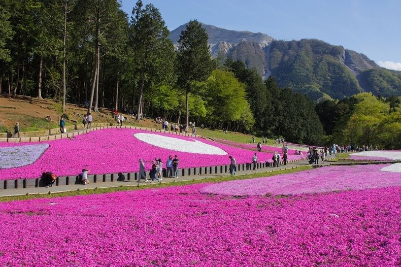   . , Saitama-ken, Chichibu-shi