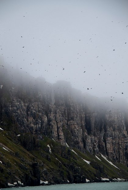   .  -, Streymoy, Hvalviksvegur