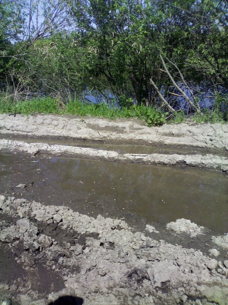 ���� �����������!!!��� �������� � ����� � ������� � ������� � ���������� ������� ���������� ����� ������� �������������,� �������� �� ������� ���� �� �������� ������!!!!!!����������� ������������� ���� ���. ������, ���������� �������, �158