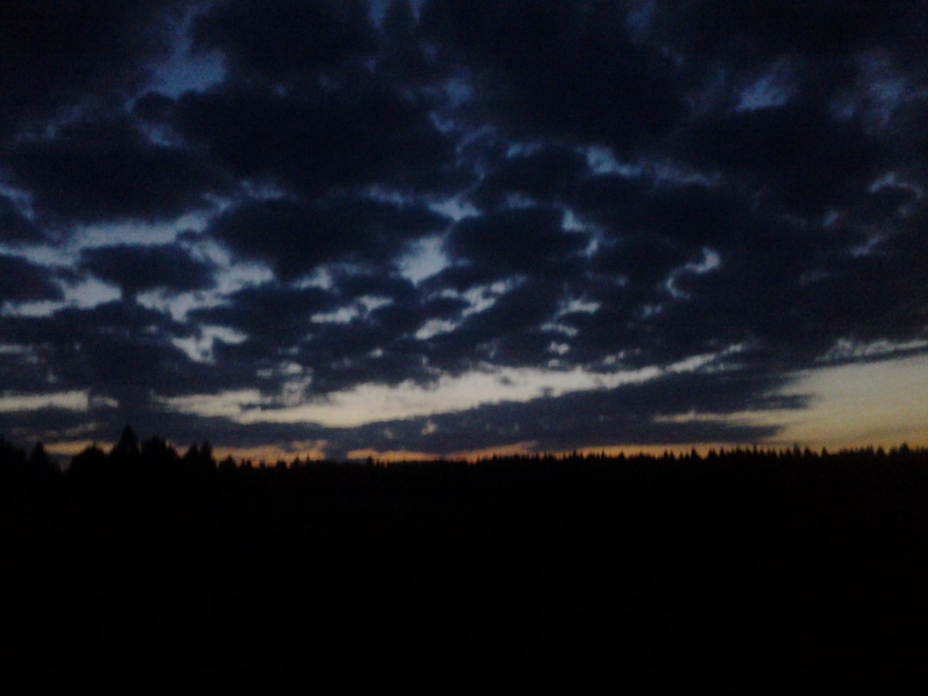  20130615_034502.jpg. ,  , ,  , 99