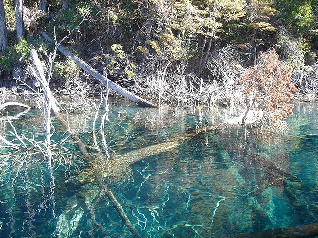   . , Neuquen, Ruta Provincial 65