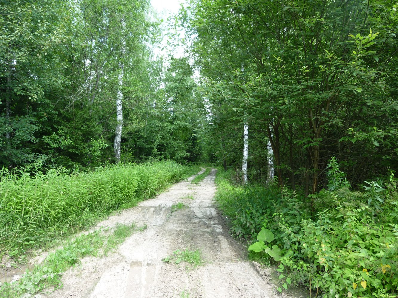    ,              .. ,  ,  