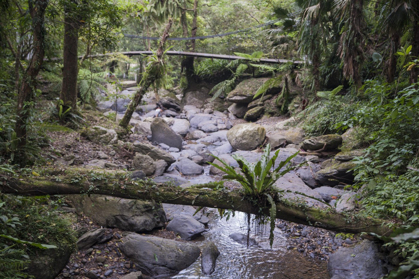  _DSC8808.jpg. , New Taipei City, Pubu Road, 16