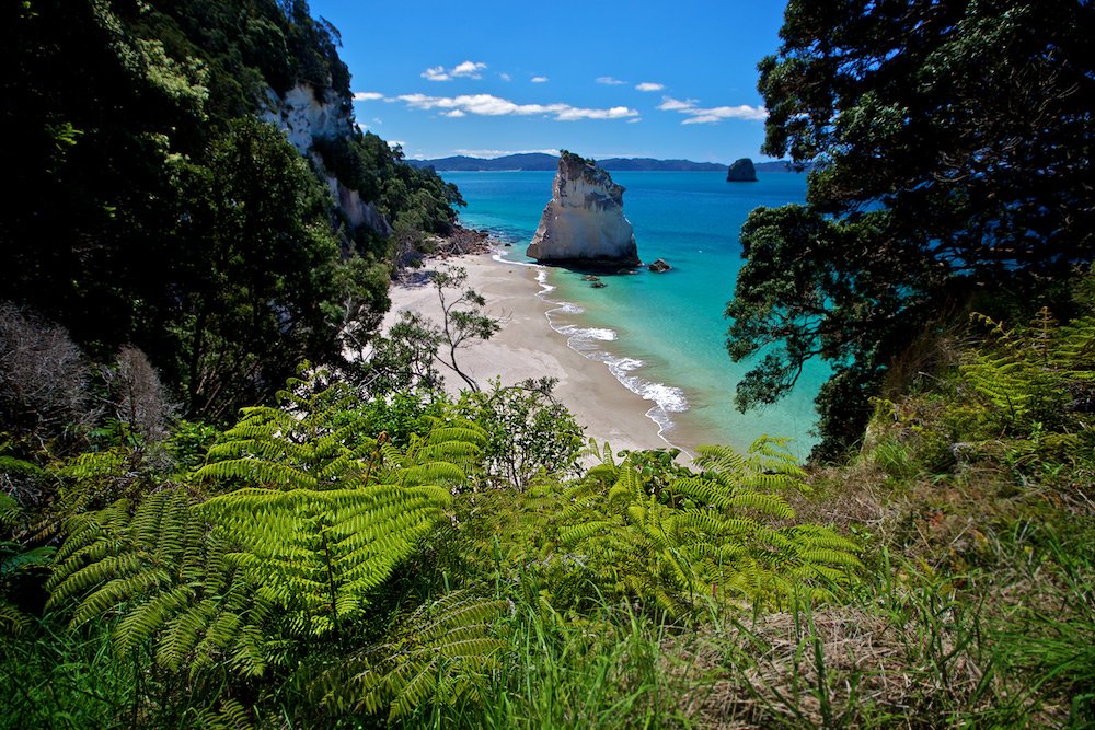  .  , Waikato, Otapaurau, Opitonui Road