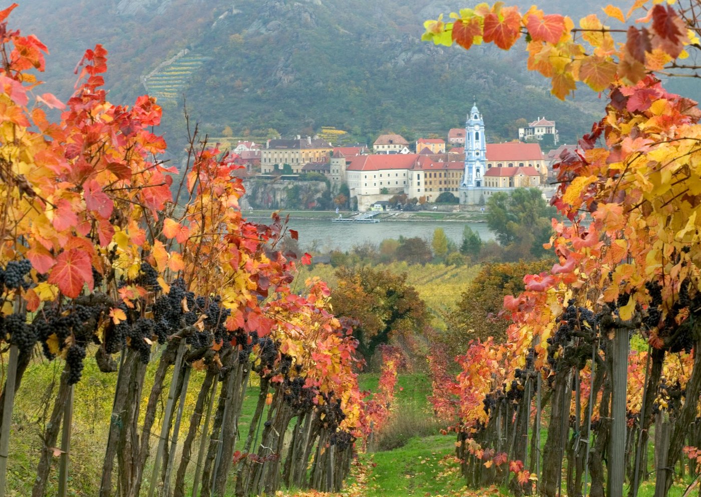  . , Niederosterreich, Durnstein, Donau Bundesstrase