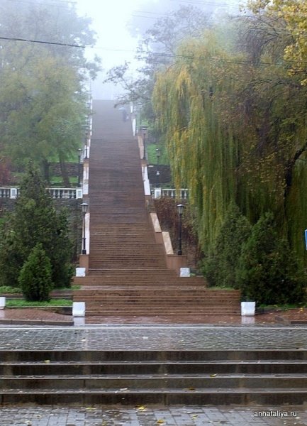Фото Каменная лестница. Россия, Ростовская область, город Таганрог, Греческая улица, 56