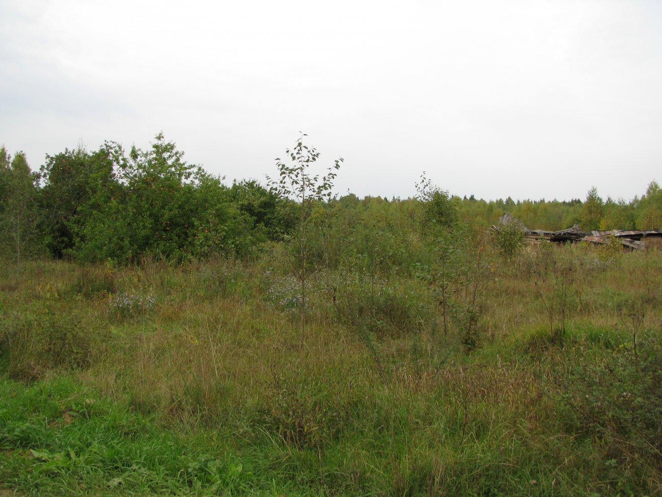  IMG_0824.JPG. ,  ,  ,  