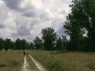  UVS131005-001.AVI_snapshot_25.38_[2014.02.07_14.03.46].jpg. ,  , 105