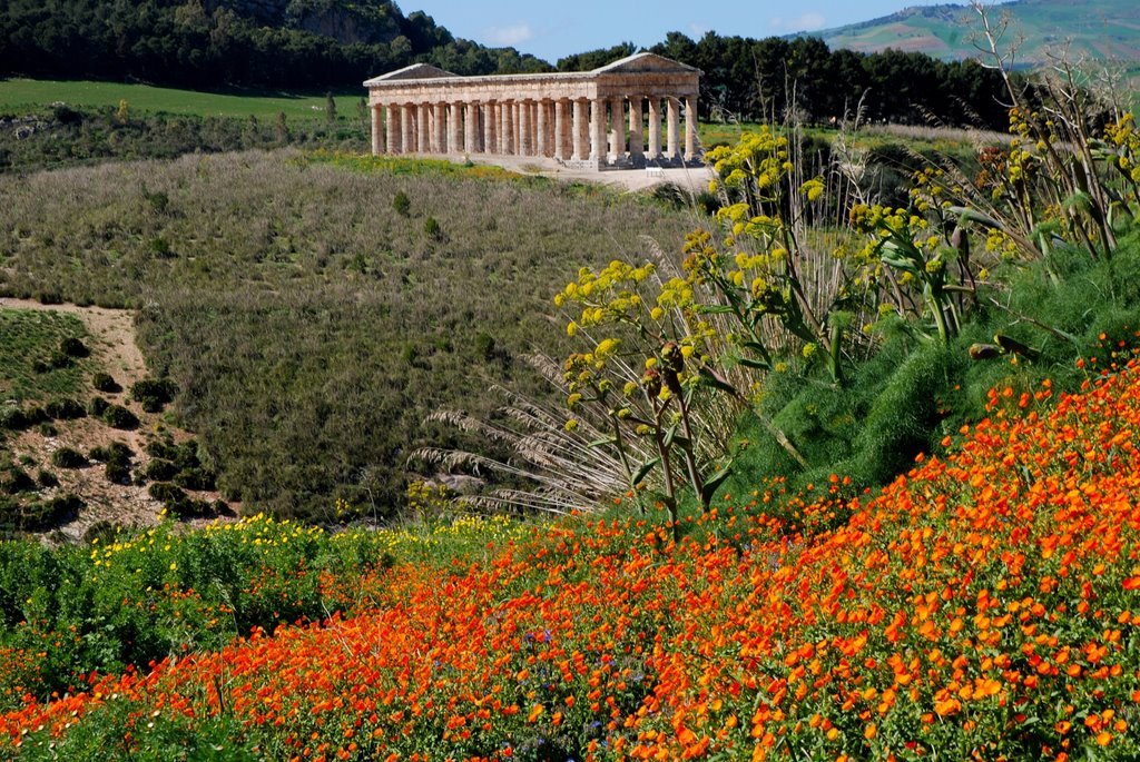   . , , Galleria Segesta