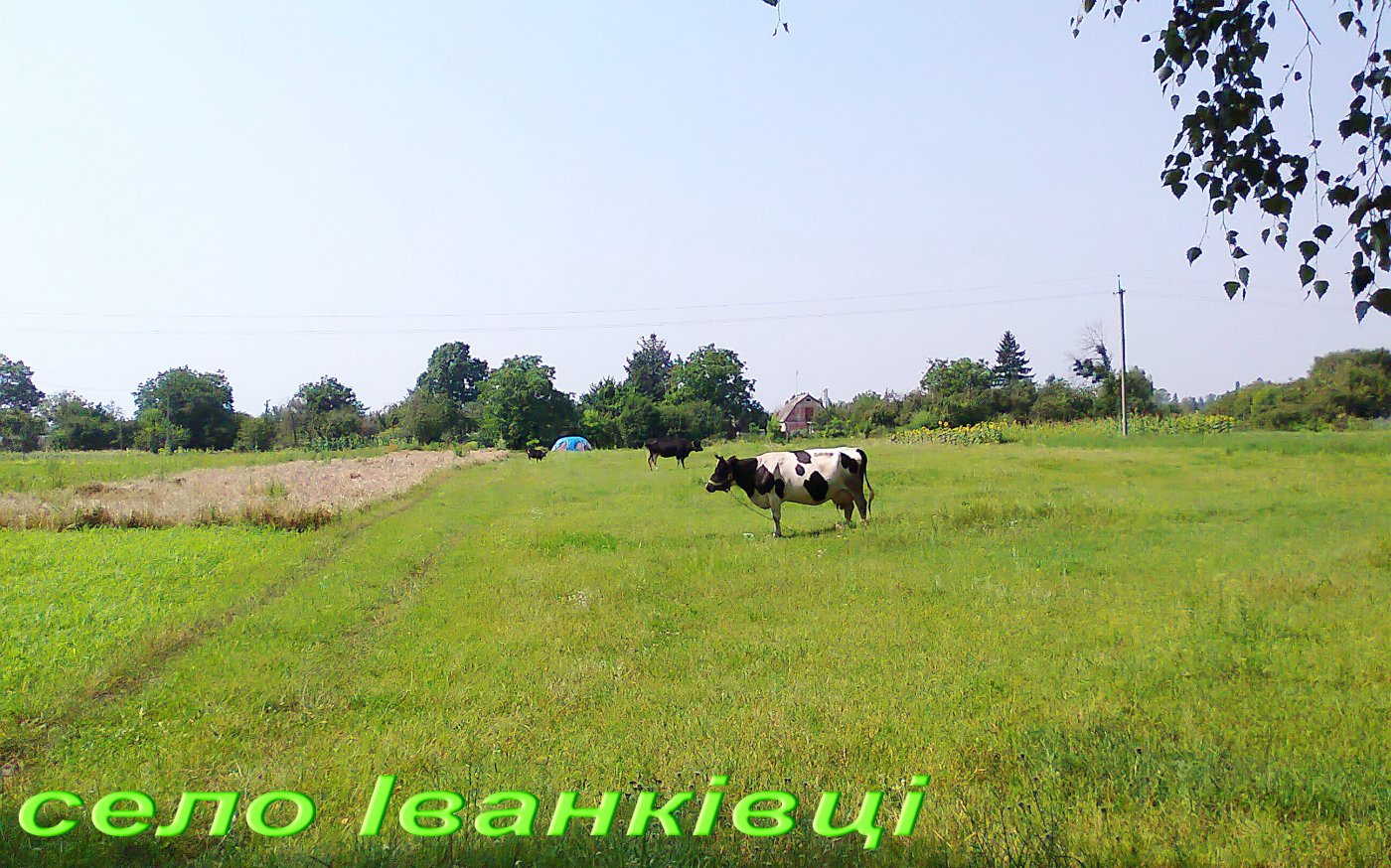   . ,  , , Unnamed Road