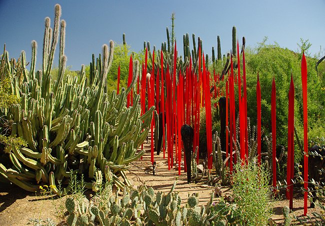  Desert Botanical Garden.   , , , --, 1201