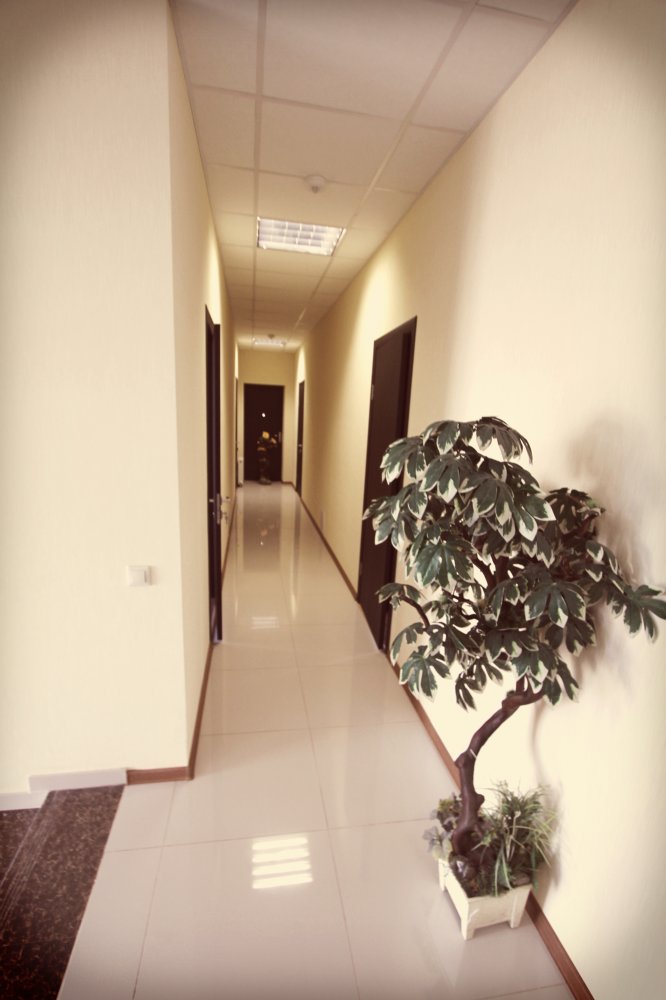  IMG_8450.JPG. ,  ,  ,  , 68