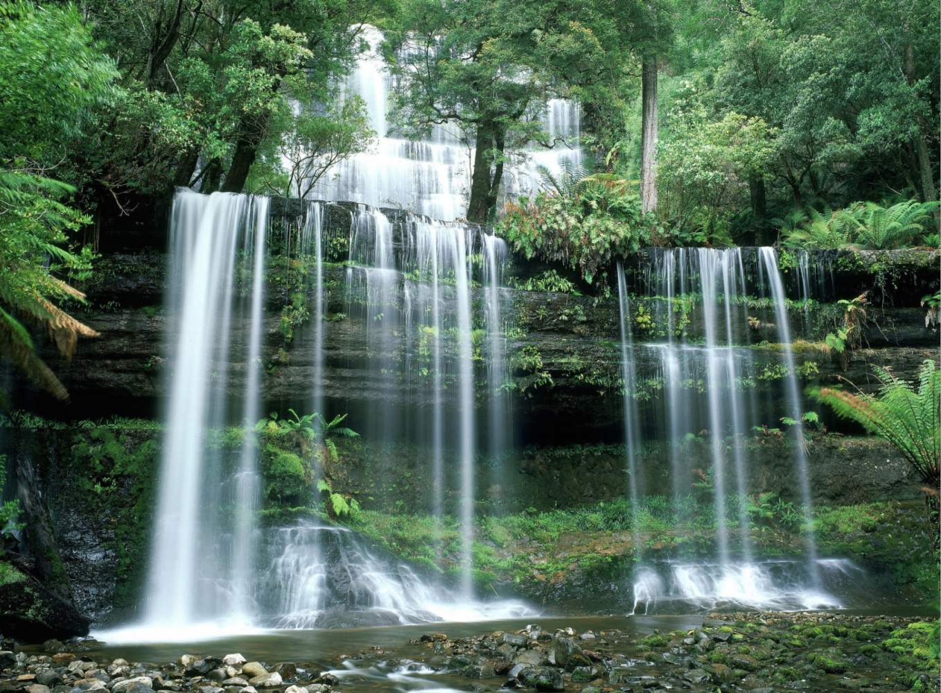   . , Tasmania, National Park, Lake Dobson Road, 40