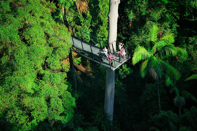    . , Queensland, Tamborine Mountain, Geissmann Drive, 325