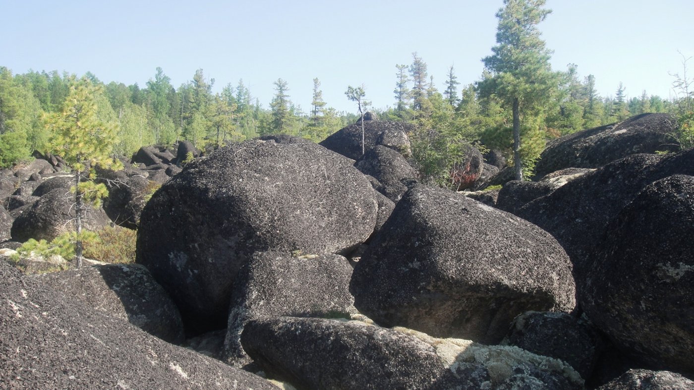  DSC01507.JPG. ,  ,    - 