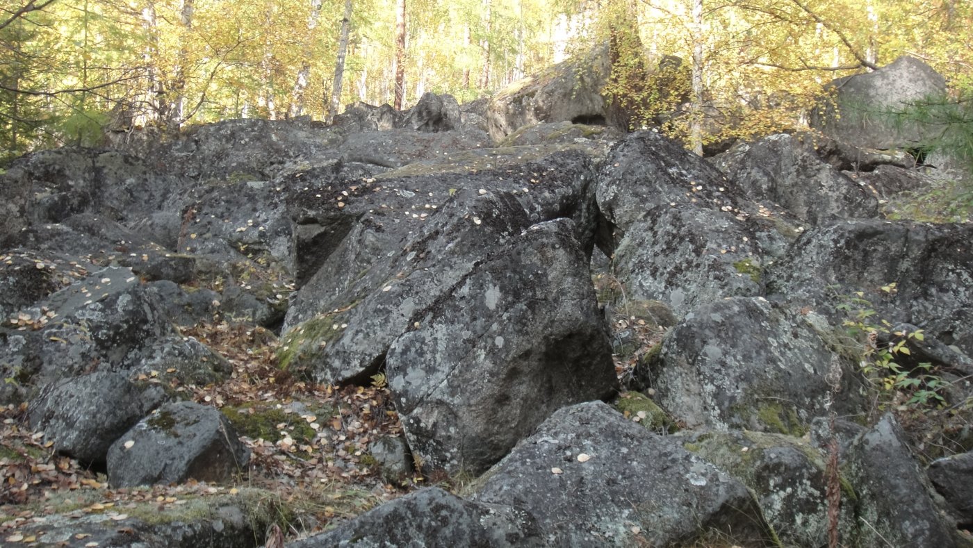  DSC07522.JPG. ,  ,    - 