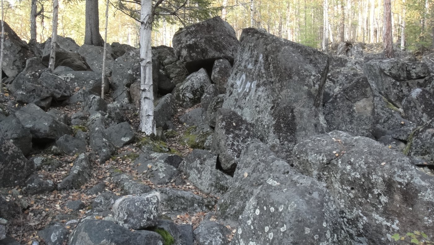  DSC07523.JPG. ,  ,    - 