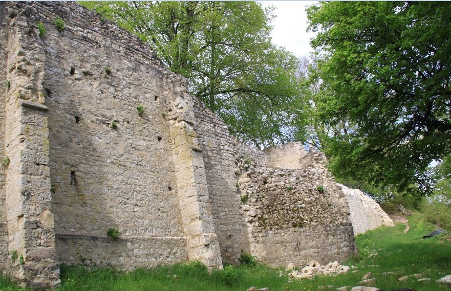    . , Champagne-Ardenne, Vignory, Le Chateau