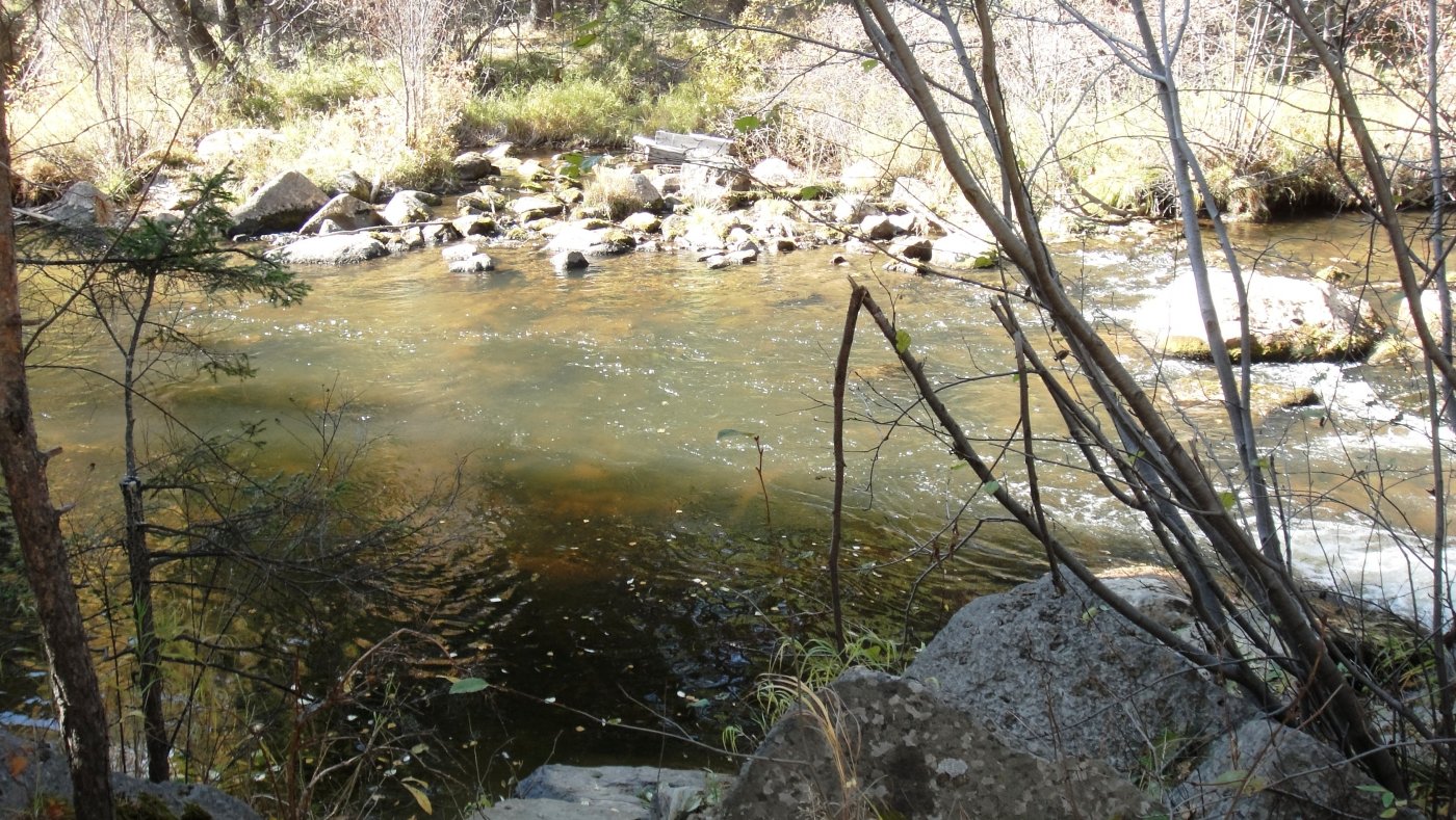  DSC08063.JPG. ,  ,    - 