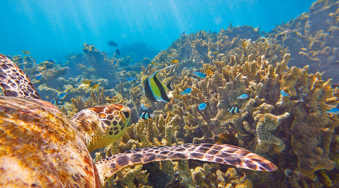  . , Western Australia, Ningaloo, Yardie Creek Road