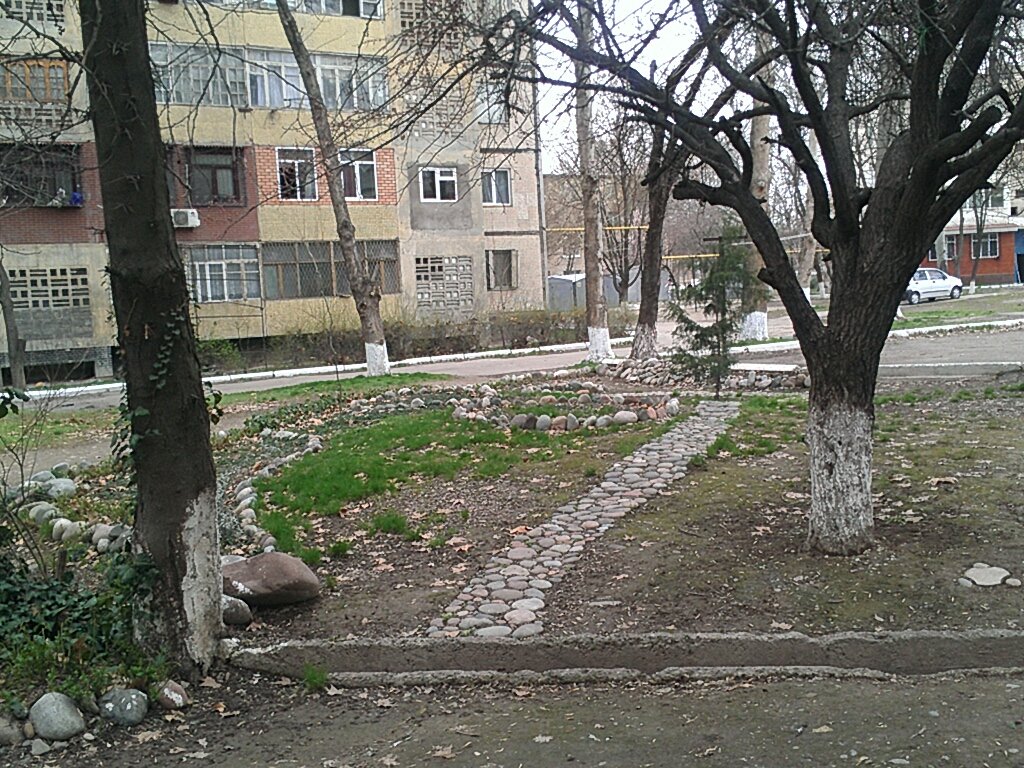  CYMERA_20140321_155132.jpg. , Toshkent Viloyati, , Chapanata ko