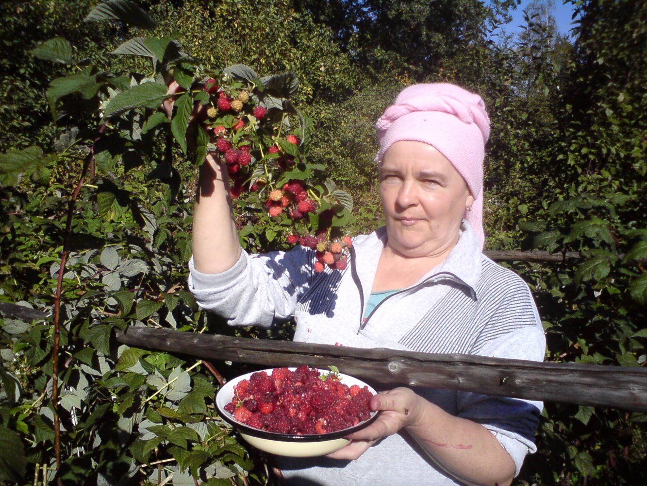 ���� DSC01171.JPG. ������, ���������� �������, ��������, Unnamed Road