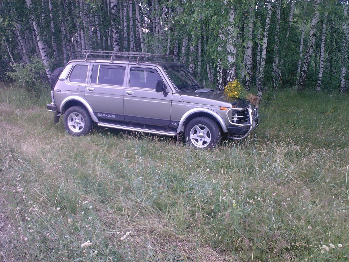 ���� Photo-00791.JPG. ������, ���������� �������, ��������, Unnamed Road