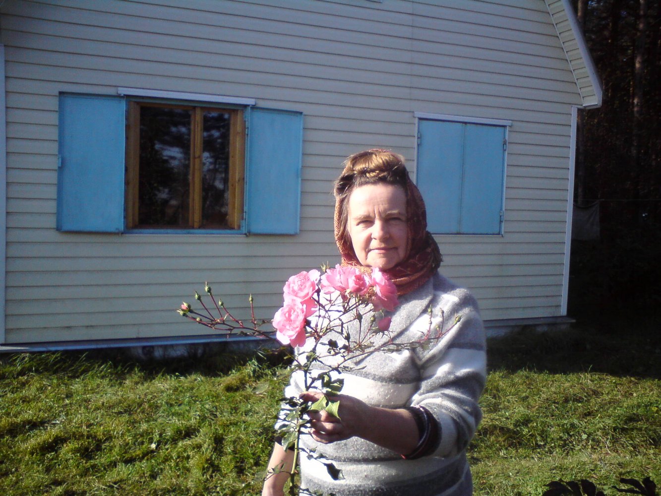 ���� DSC00375.JPG. ������, ���������� �������, ��������, Unnamed Road