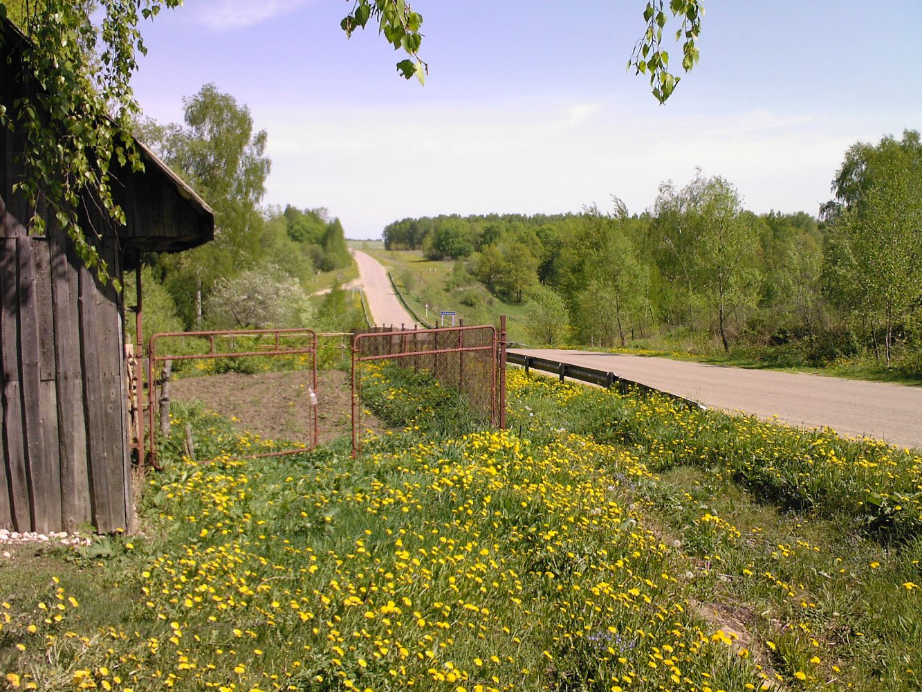 ���� Photo-0039.jpg. ������, ���������� �������, ��������, Unnamed Road