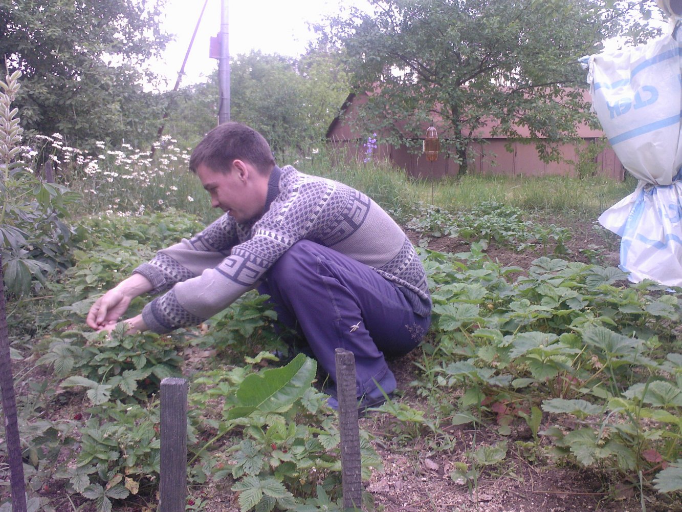 ���� Photo-0072.jpg. ������, ���������� �������, ��������, Unnamed Road