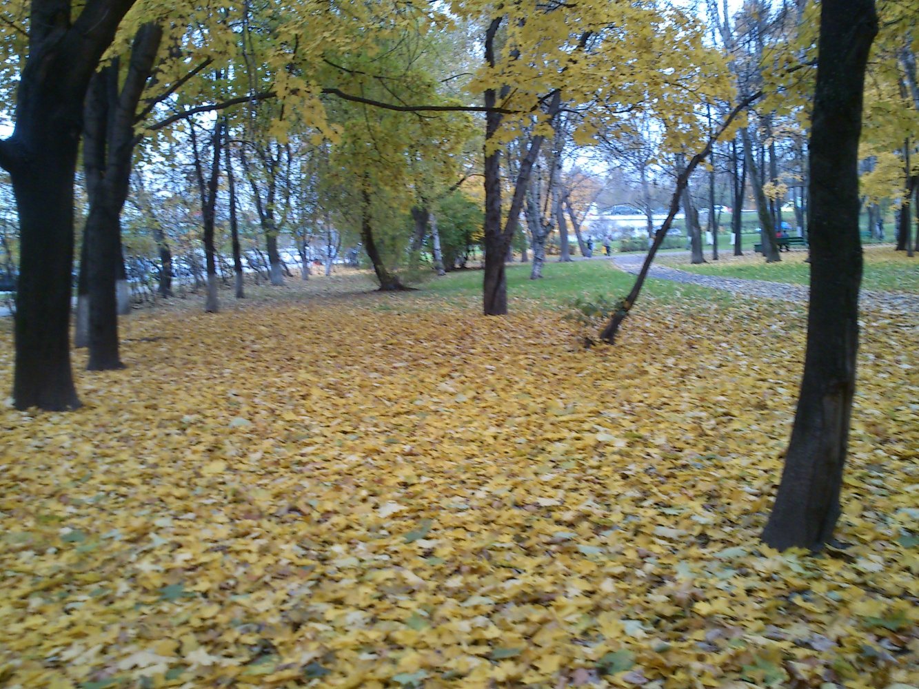 ���� DSC_0512.JPG. ������, ���������� �������, ��������, Unnamed Road