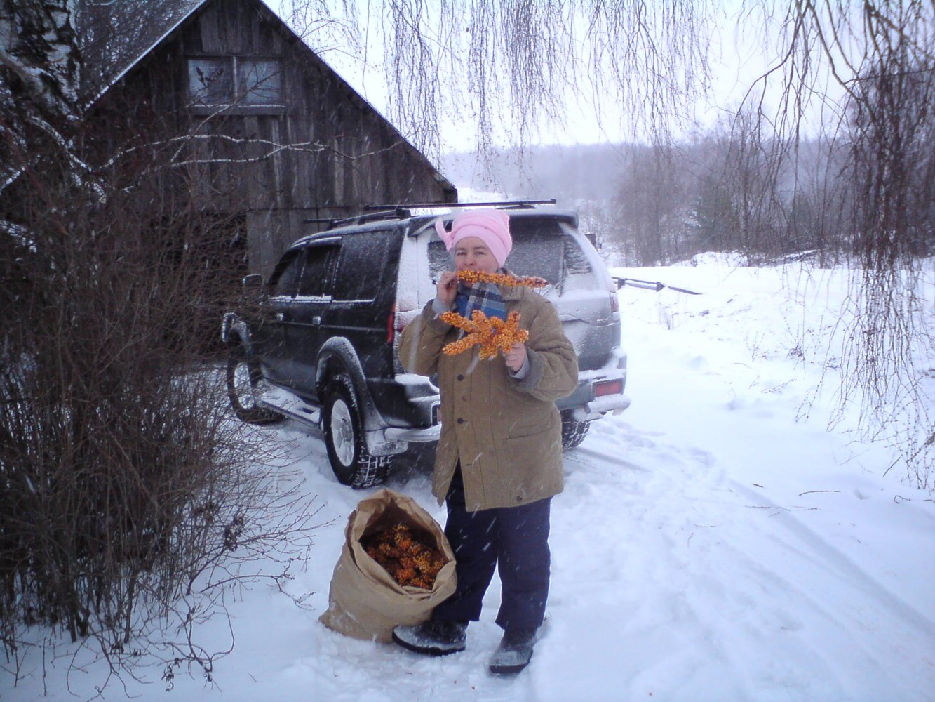 ���� DSC00567.JPG. ������, ���������� �������, ��������, Unnamed Road