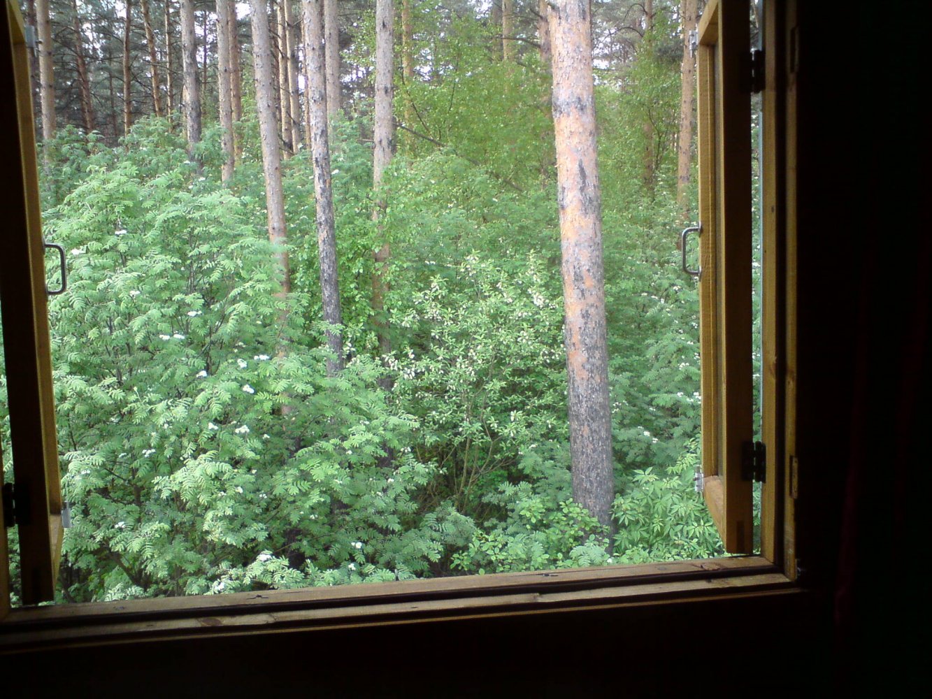 ���� DSC00875.JPG. ������, ���������� �������, ��������, Unnamed Road