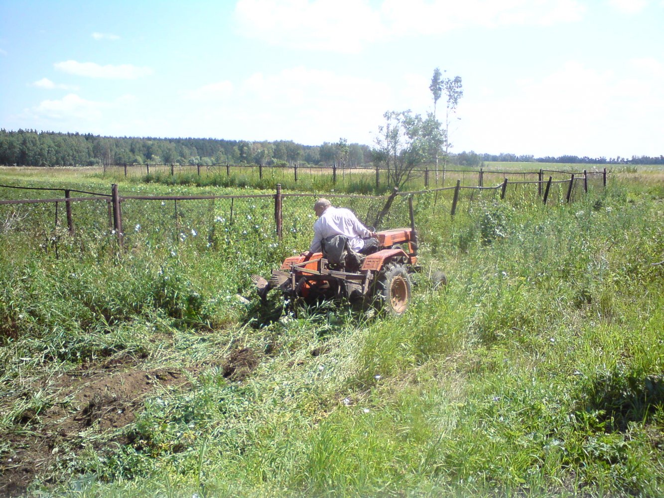 ���� DSC00982.JPG. ������, ���������� �������, ��������, Unnamed Road