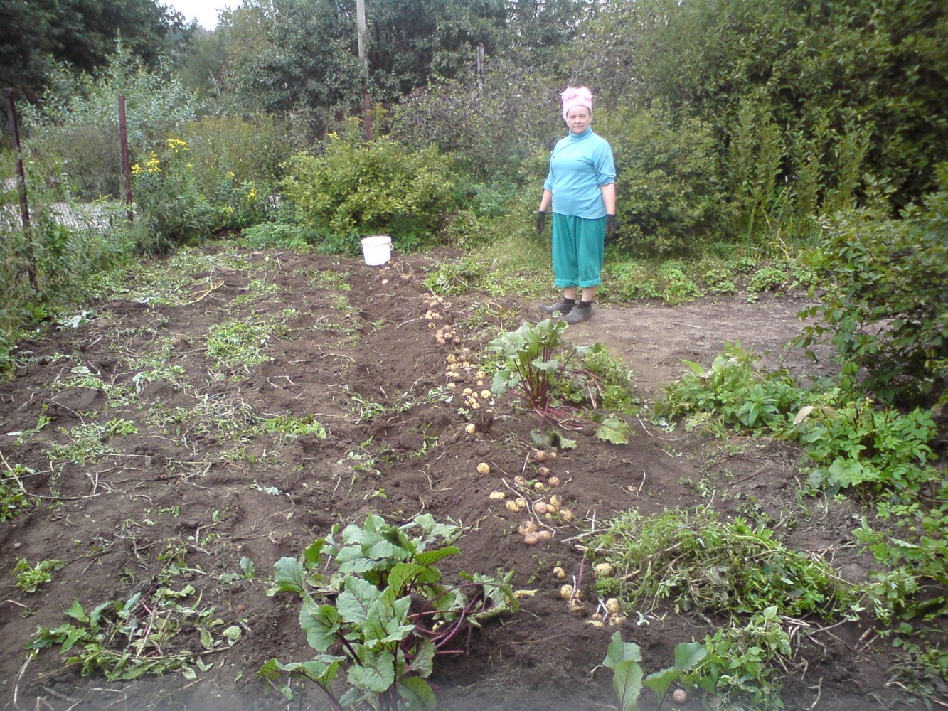 ���� DSC01084.JPG. ������, ���������� �������, ��������, Unnamed Road