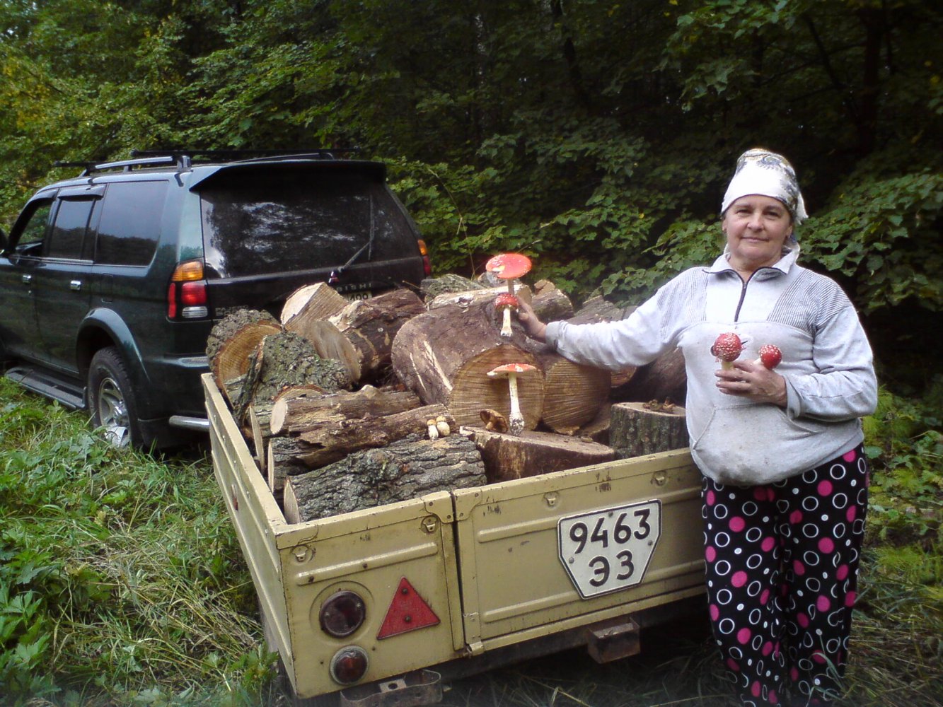 ���� DSC01132.JPG. ������, ���������� �������, ��������, Unnamed Road