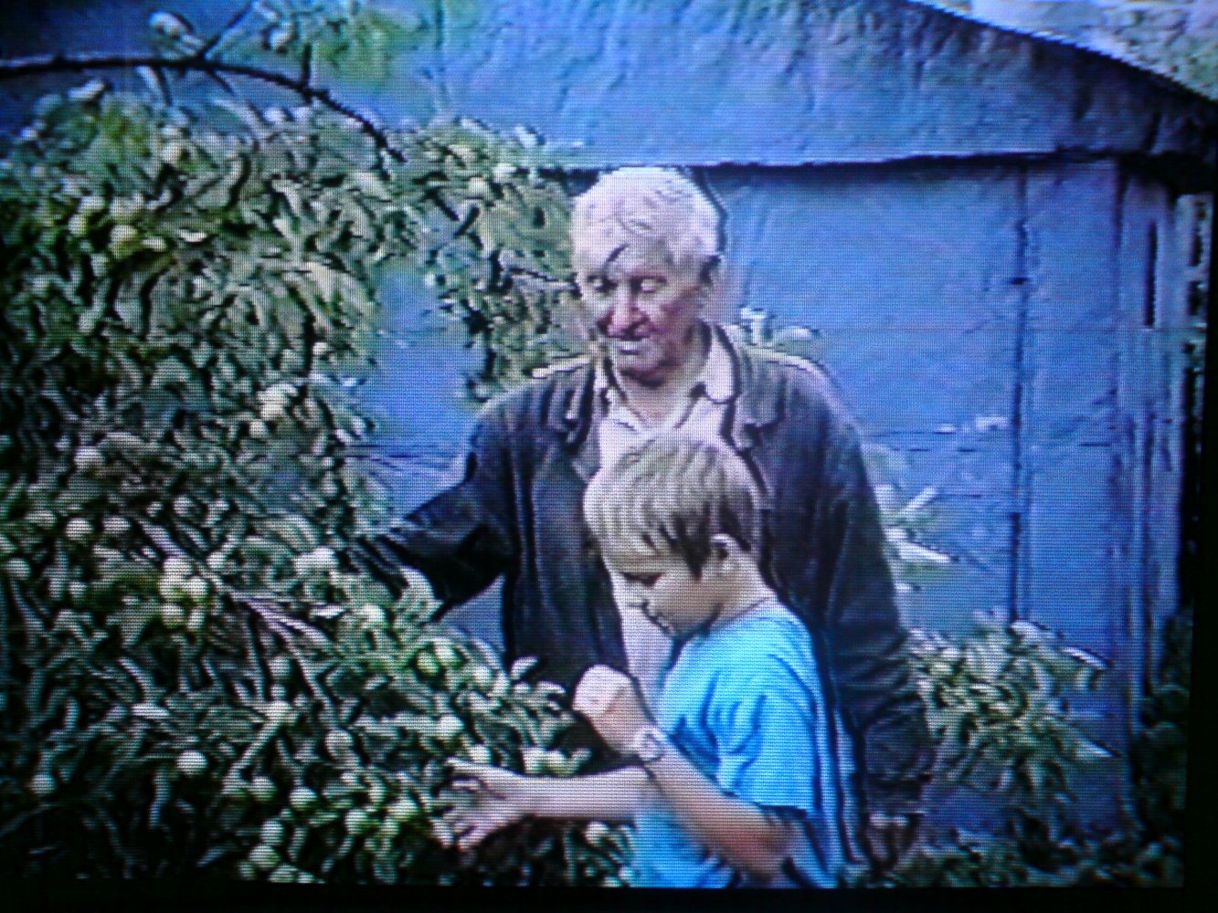 ���� DSC01225.JPG. ������, ���������� �������, ��������, Unnamed Road