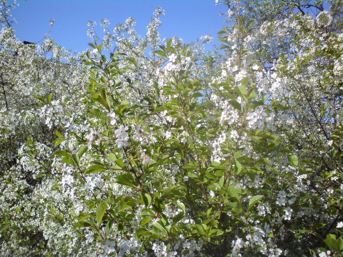 ���� DSC01642.JPG. ������, ���������� �������, ��������, Unnamed Road